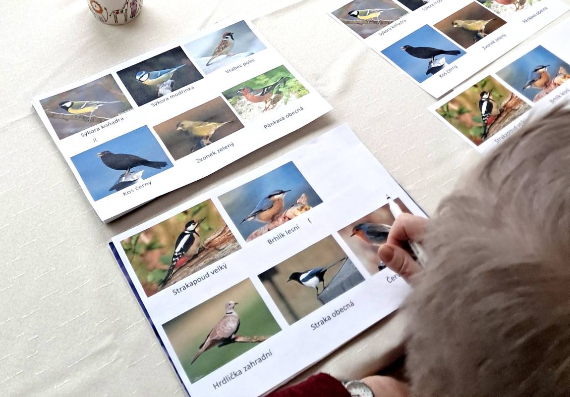 Smyslová aktivizace v lednu v Chýnově