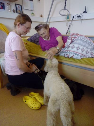 Návštěva terapeutických pejsků