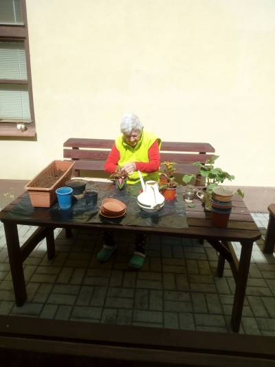 Přesazování květin