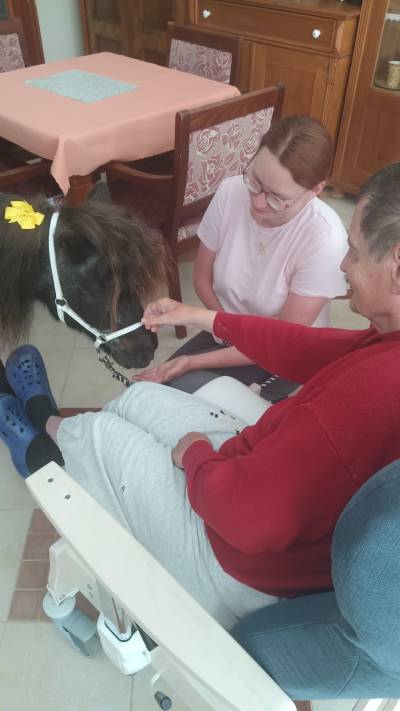 Návštěva terapeutického koníka