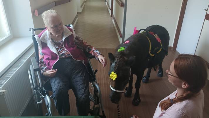Návštěva terapeutického koníka