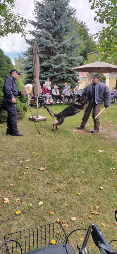 Ukázka výcviku policejního psa