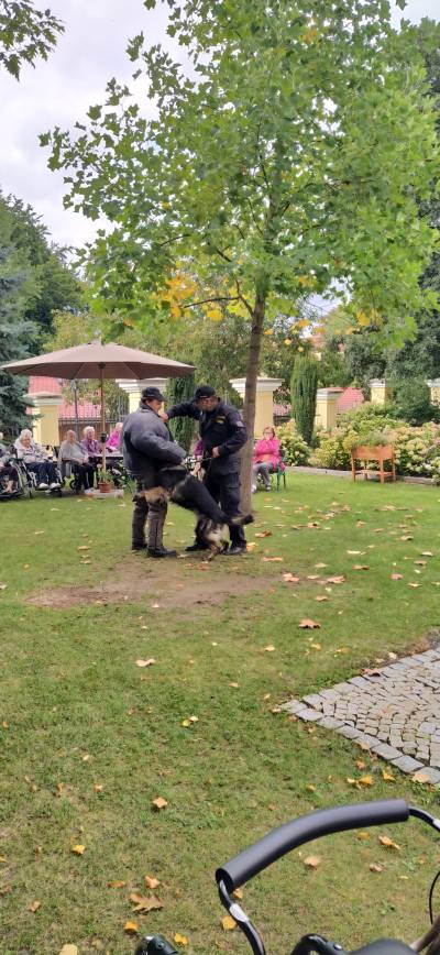 Ukázka výcviku policejního psa