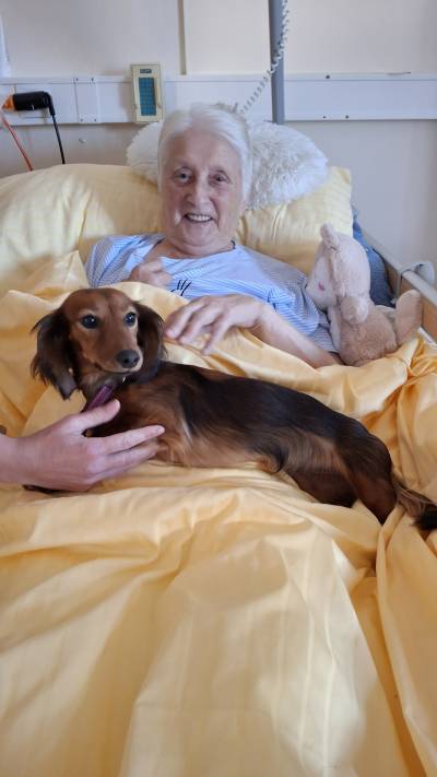 Pejsci do lůžek - canisterapie