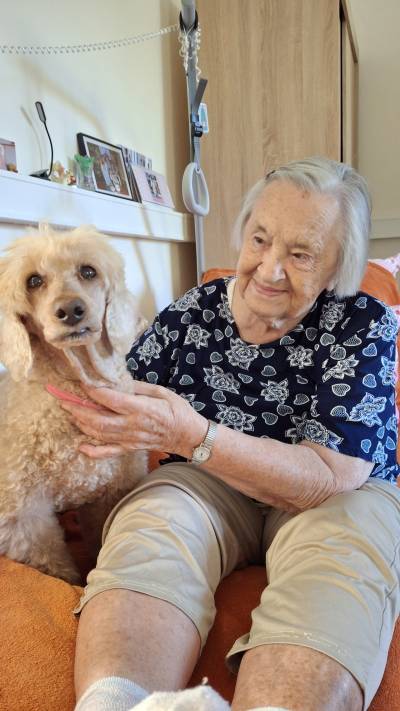 Pejsci do lůžek - canisterapie