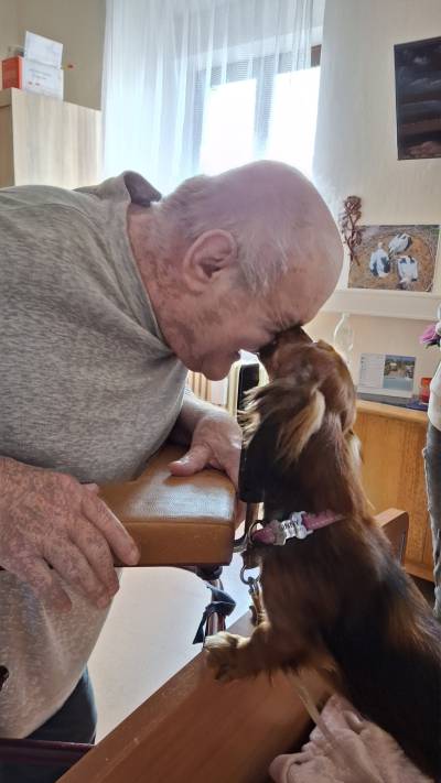 Pejsci do lůžek - canisterapie