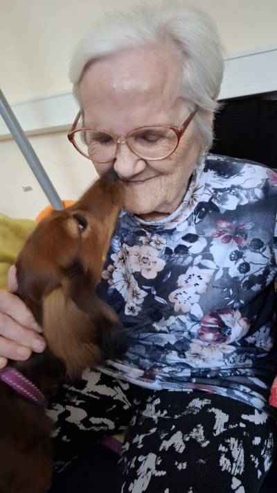 Pejsci do lůžek - canisterapie