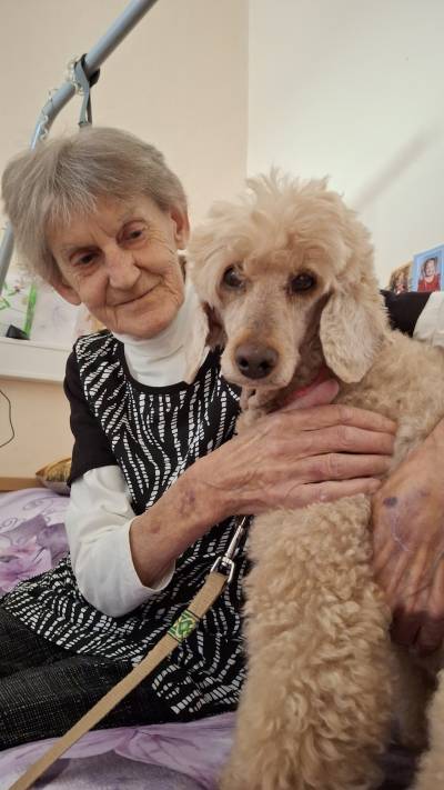 Pejsci do lůžek - canisterapie