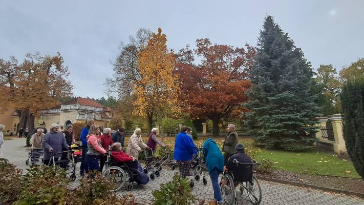 Den stromů - přednáška p. Kulveita