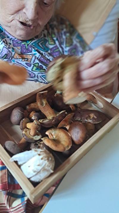 Individuální návštěva na pokoji klienta