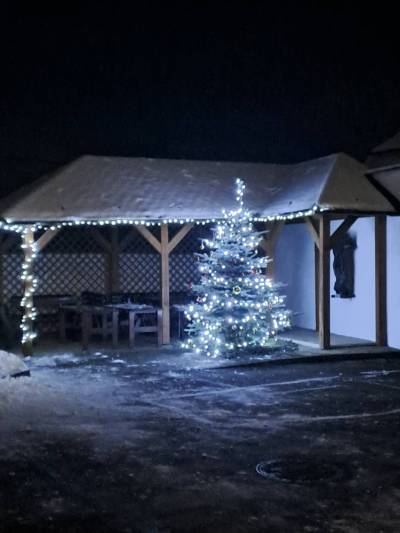 Rozsvěcení vánočního stromu