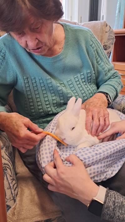 Zooterapie s králíčkem