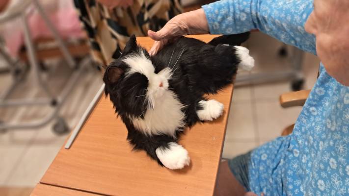 Předání vánočních dárků