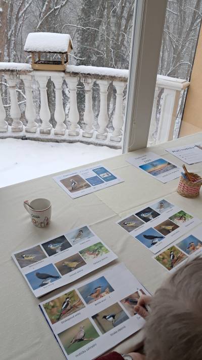 Smyslová aktivizace - ptačí hodinka