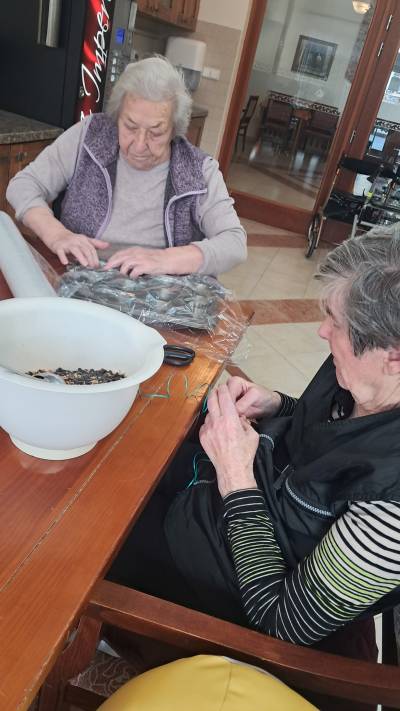 Připravená směs různých druhů semen