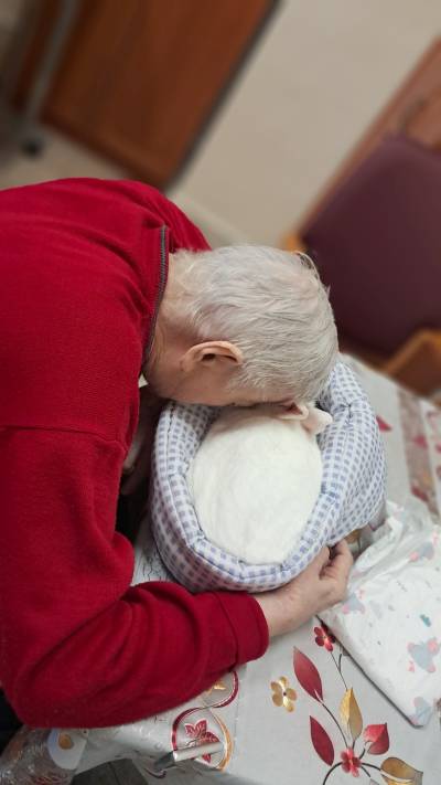 Pomazlení s králíčkem - individuální zooterapie