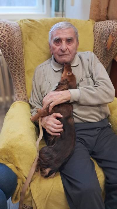 Individuální zooterapie