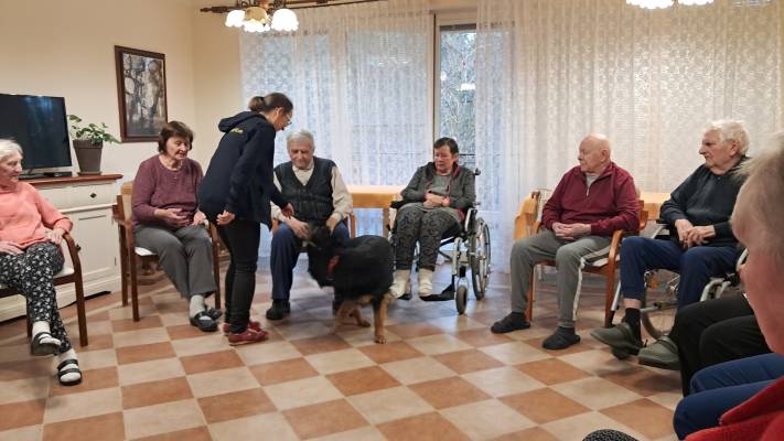 Skupinová canisterapie