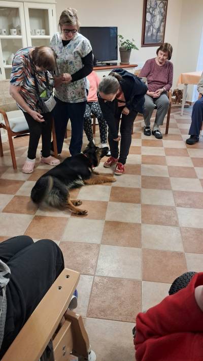 Skupinová canisterapie