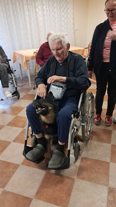 Skupinová canisterapie