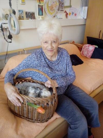 Zvířata do lůžek