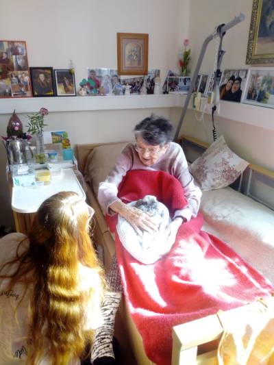 Zvířata do lůžek