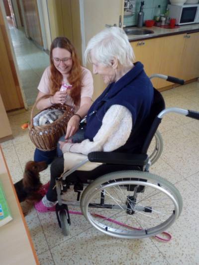 Zvířata do lůžek