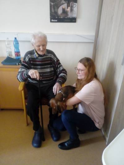 Zvířata do lůžek