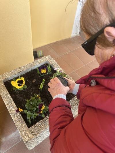 Jarní zahradničení