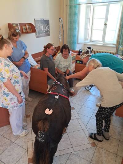 Zážitkové setkání s poníkem Polly - potěšení pro všechny