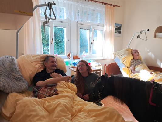 Zážitkové setkání s poníkem Polly na pokojích